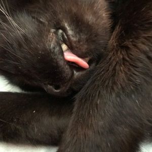 Meet your Posher, Kathi